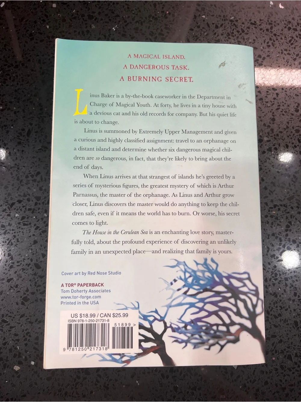 The House in the Cerulean Sea by T.J. Klune Book